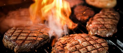 Buddy Hoagies Steak & Grill Restaurant -Rendezvous Hotel Singapore — Western restaurant in Museum