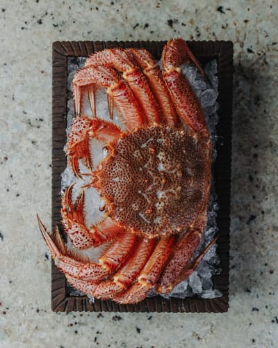 Zén — Fine Dining restaurant in Outram