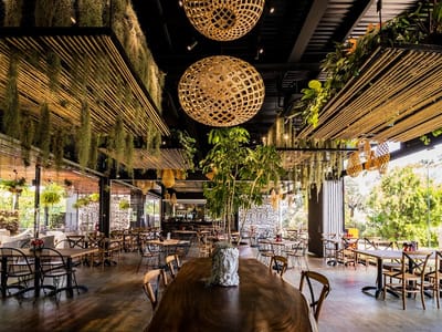 Canopy HortPark — Western restaurant in Queenstown