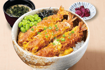 Ichikokudo Hokkaido Ramen — Japanese restaurant in Orchard