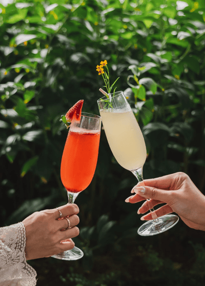 Sol and Luna - gallery image 2