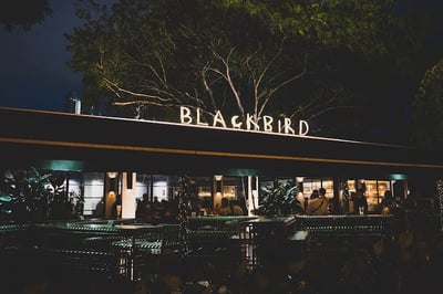 The Blackbird — restaurant in Bukit Merah — photo 5