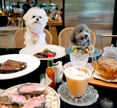Under Der Linden | Modern European Dining | Pet Friendly Cafe — restaurant in Queenstown — photo 3