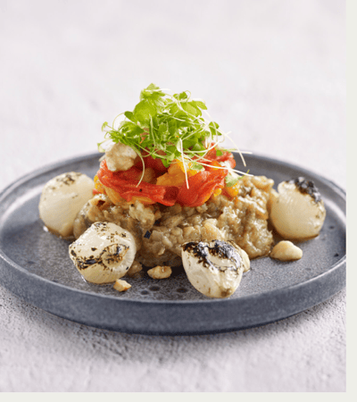 Sol and Luna - gallery image 3