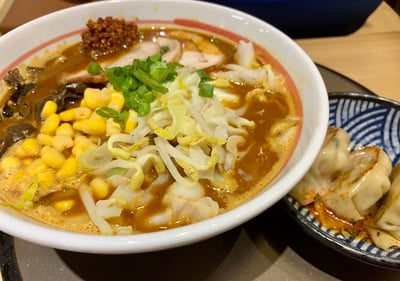 Ichikokudo Hokkaido Ramen — restaurant in Orchard — photo 2