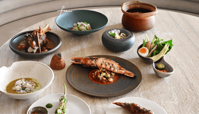 Fiz - gallery image 2