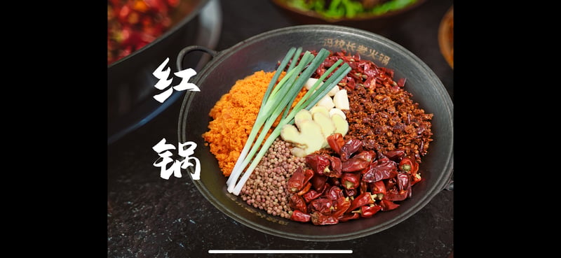 Feng Xiao Zhang Hotpot - Chinatown 冯校长成都老火锅 — restaurant in Chinatown — main photo