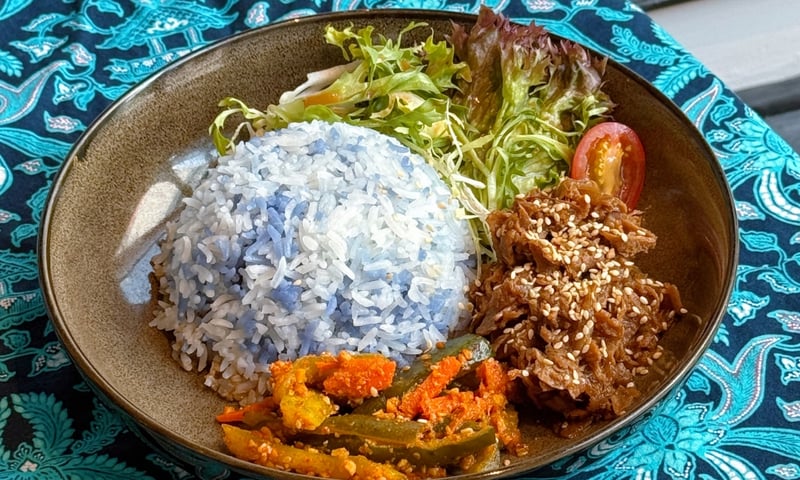 Menu (image — web import)
